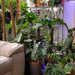 Meet your Posher, Andre